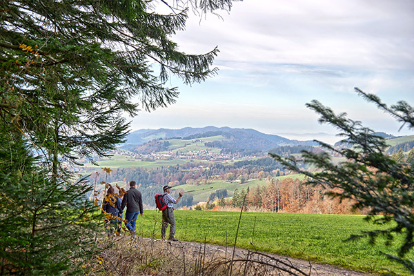 Wandern im Hochschwarzwald